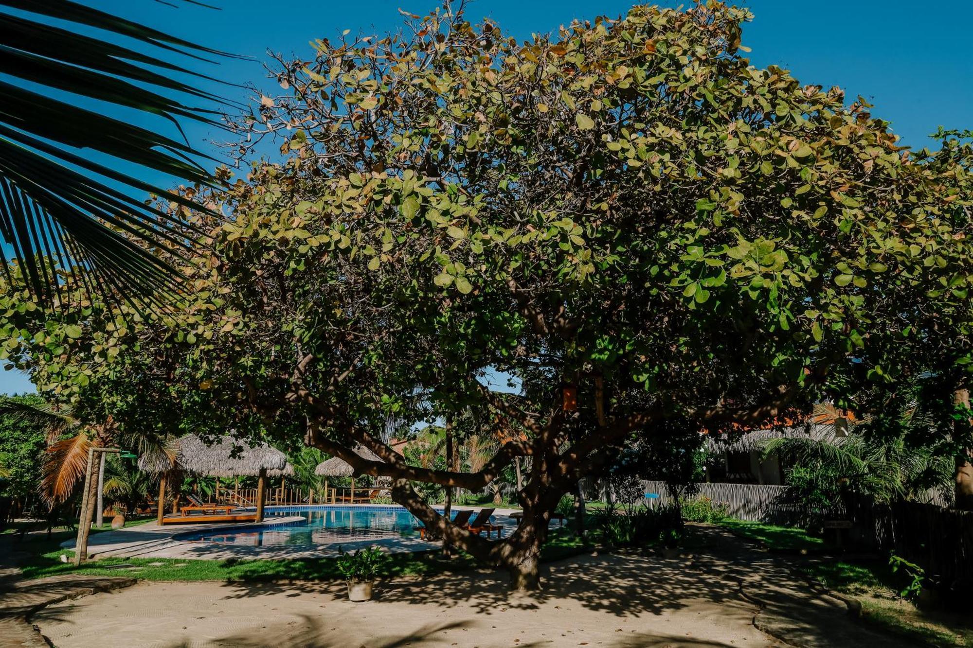 Casas Capulana Villa Icaraí Eksteriør billede
